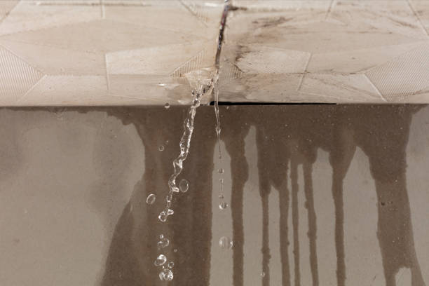 Professional Water Extraction technician working in Locust Dale, VA